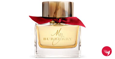 my burberry limitierteedition|burberry fragrance colors.